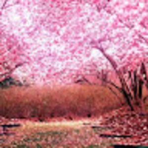 Meet your Posher, Billy